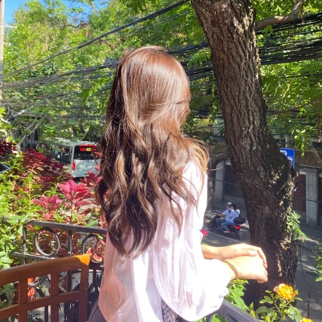 芒果和红色轮椅