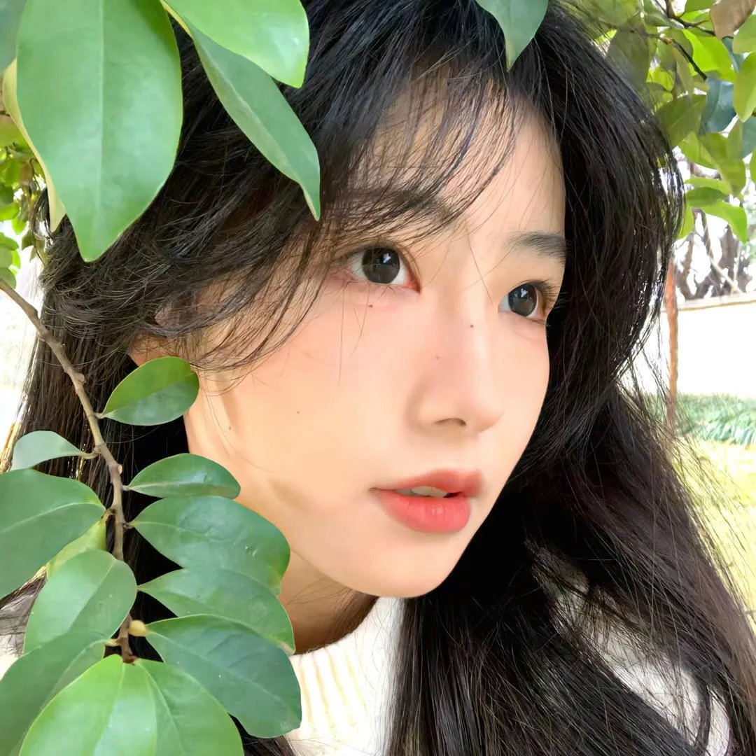 情证